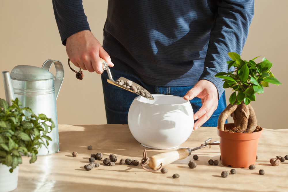Utilizări practice ale zațului de cafea