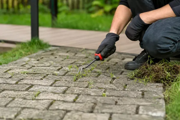 Cum împiedici buruienile să crească printre pavele