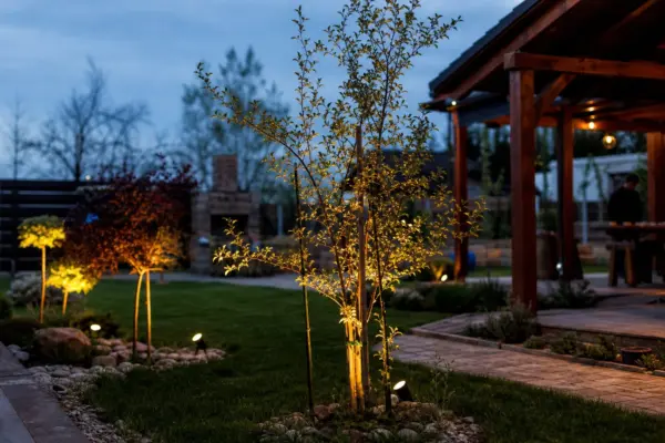 Cum iluminezi arborii și plantele decorative fără să exagerezi